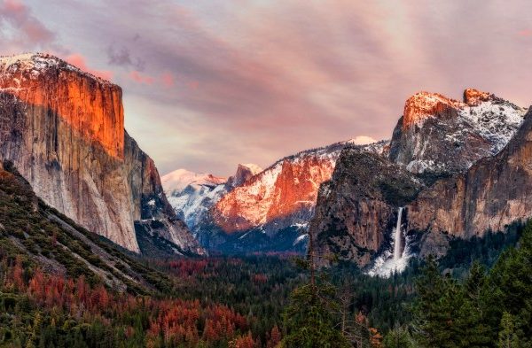 National park wall decor