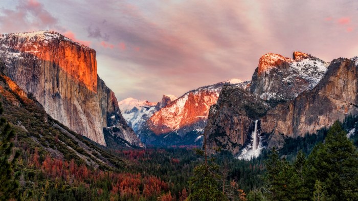 National park wall decor