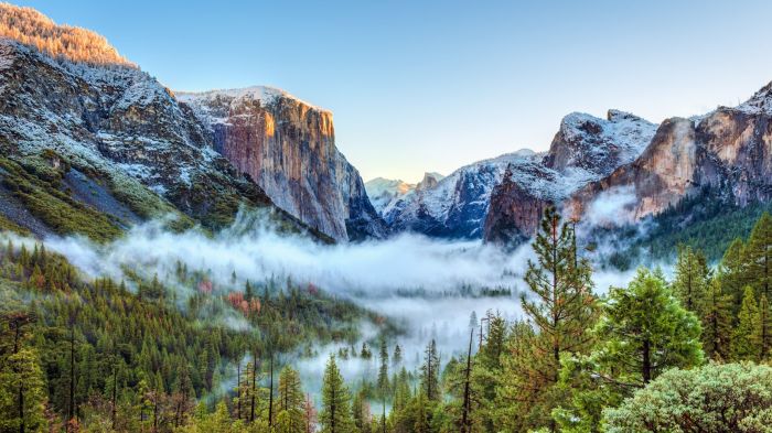 National park wall decor