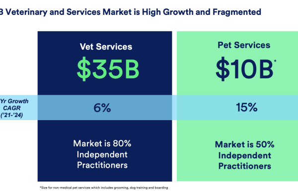 Petco stock price