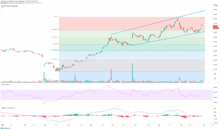 Biglots stock price